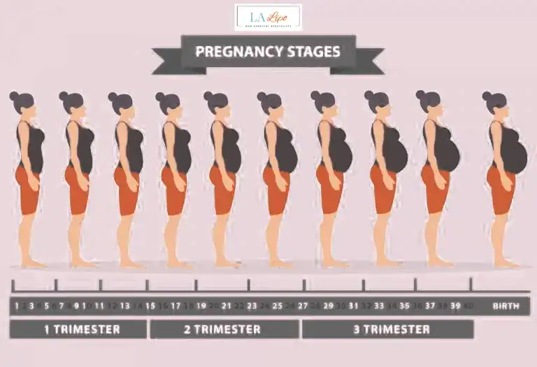 First Trimester (Weeks 1–12): Early Changes You Might Not Notice Kings Langley